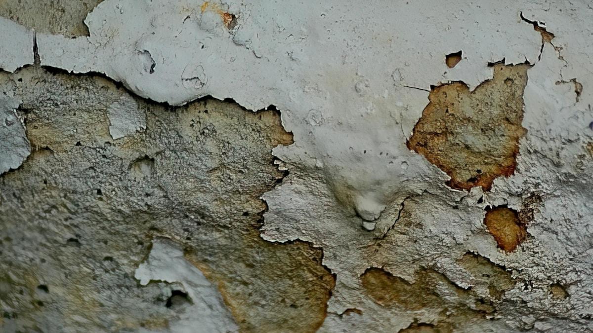 chuck-underwood-WcDGvJPnjQ4-unsplash