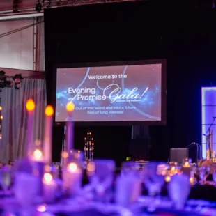 american-lung-association-gala-nonprofit-event-detail