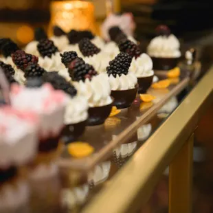 The Accents 2023 - AIMED 91