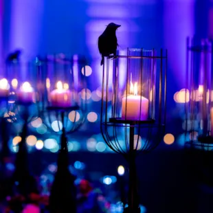 Sterler Wedding Teaser-157