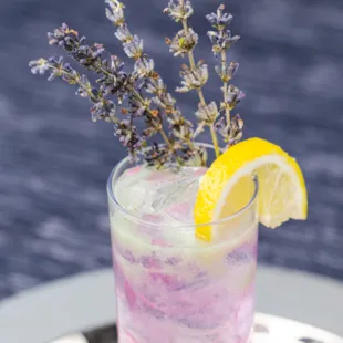 Beverage-Cocktail-Lavender Mule