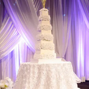 Megan and Kyle Cake
