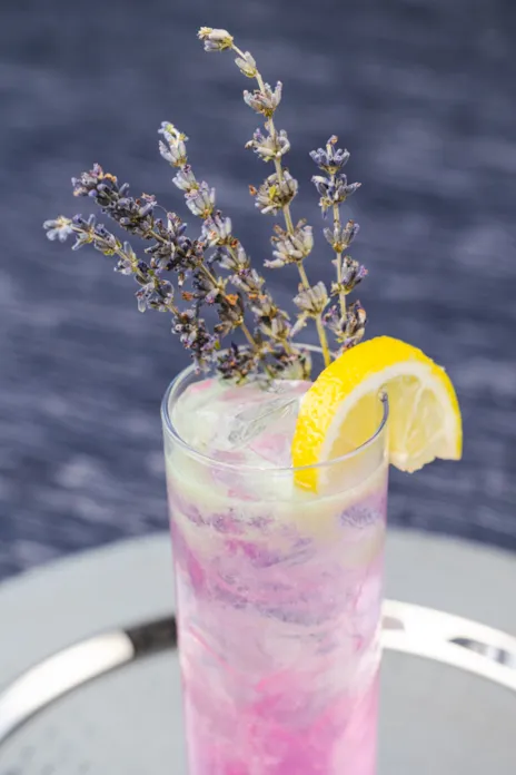 lavender-mocktail-crystal-signature-events-catering