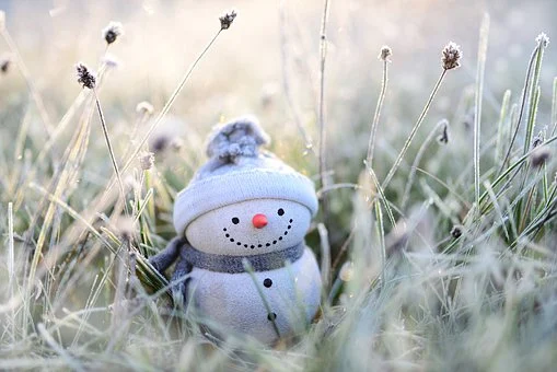winter snowman-4674856__340