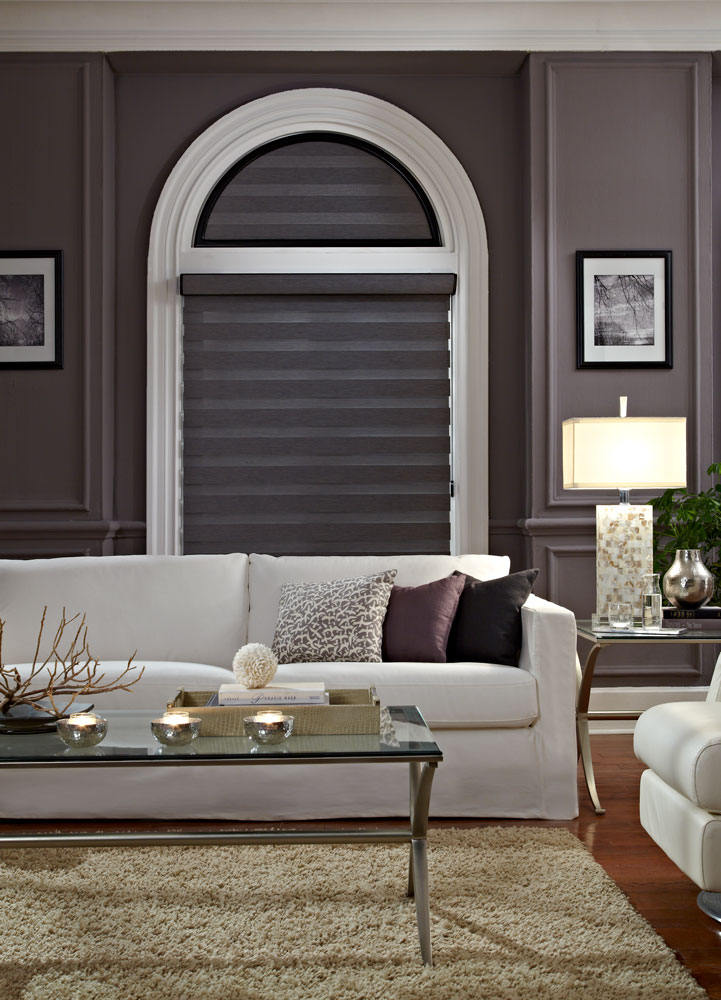 Dark gray Allure® Transitional Shade with a specialty shape half circle above in the closed position against a dark wall with a white couch in front