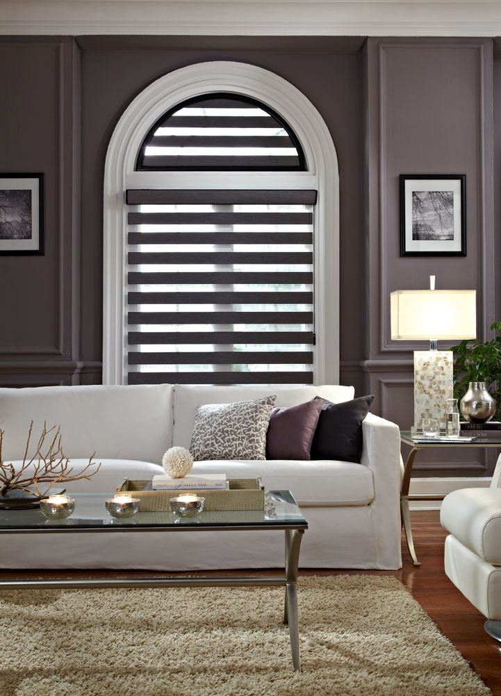 Dark gray Allure® Transitional Shade with a specialty shape half circle above in the open position against a dark wall with a white couch in front