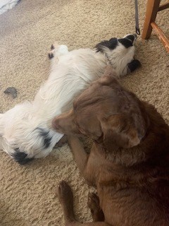 Gretchen's new co-workers sleeping on the job