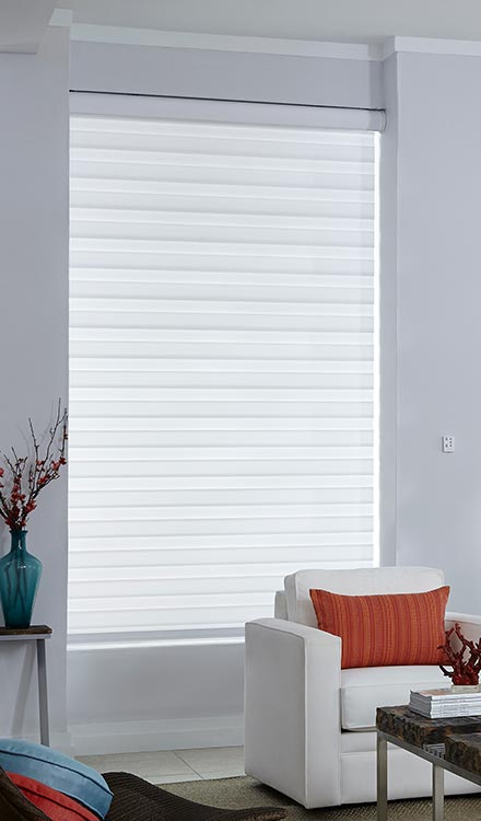 Allure Motorized Transitional Shade