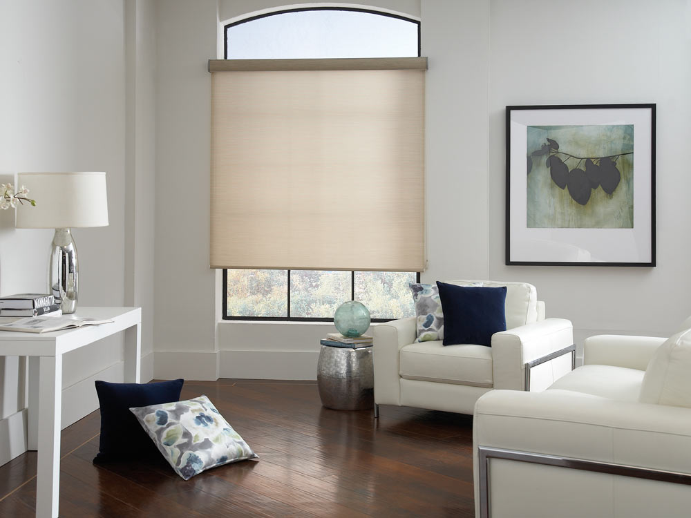 tan Genesis® Roller Shades and Interior Masterpieces® Custom Pillows in blue and floral patterns scattered around the room