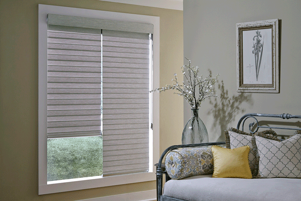Window Treatment Light Control and Privacy