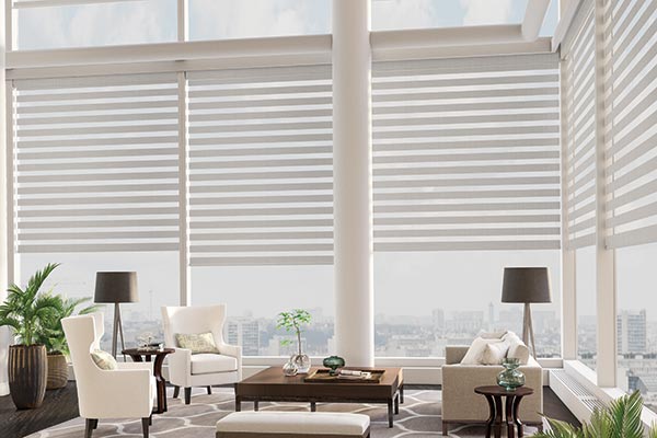 Allure® Transitional Shades