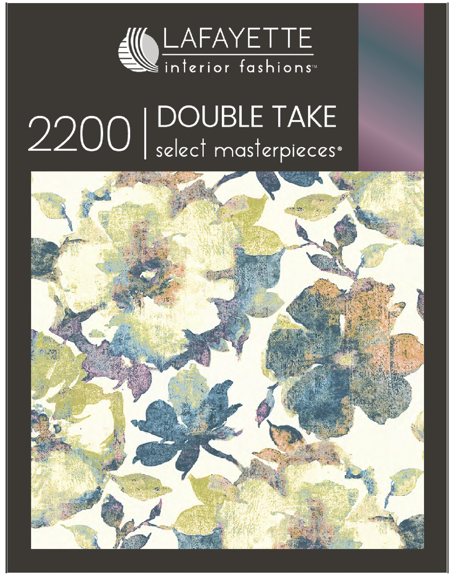 Double Take 2200