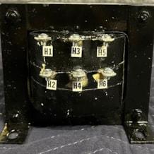 badger_transformer_3