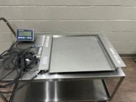 Mettler_Toledo_PUA579_Floor_Scale_1