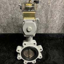 bray_pneumatic_actuator_series_64_4_2