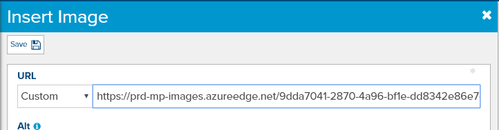 dialog-insert-image-select-custom-with-url