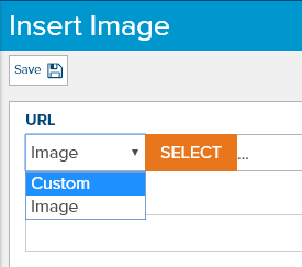 dialog-insert-image-select-custom