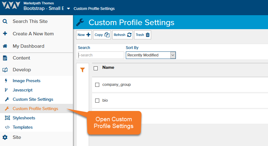 accessing-custom-profile-settings