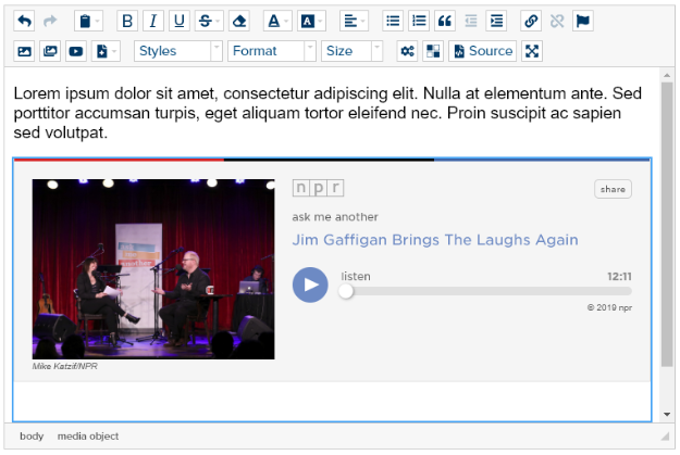 html-editor-with-embed-npr-audio