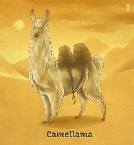 Camellama
