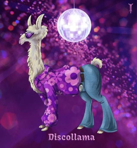 Discollama