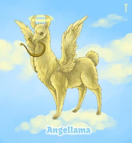 Angellama