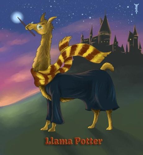 Llama Potter