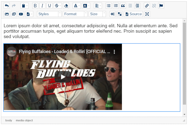html-editor-with-embed-video