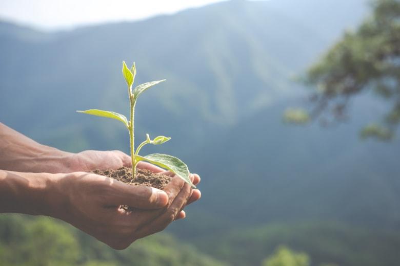 environmental-conservation-garden-children