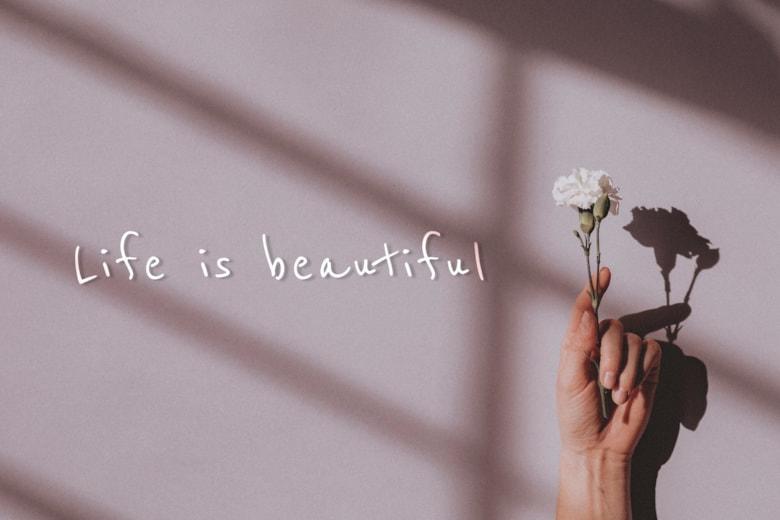 life-is-beautiful-quote_53876-95871