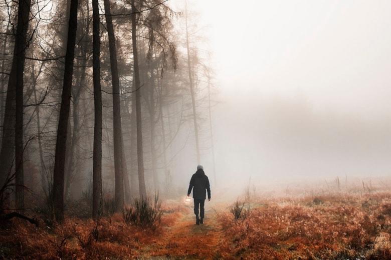 man-walking-misty-woods-mobile-phone-wallpaper_53876-146263