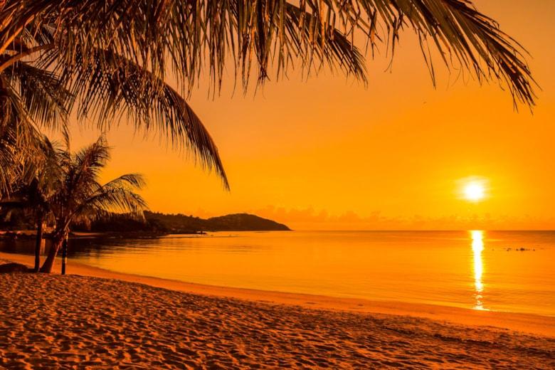 beautiful-tropical-beach-sea-ocean-with-coconut-palm-tree-sunrise-time_74190-1070