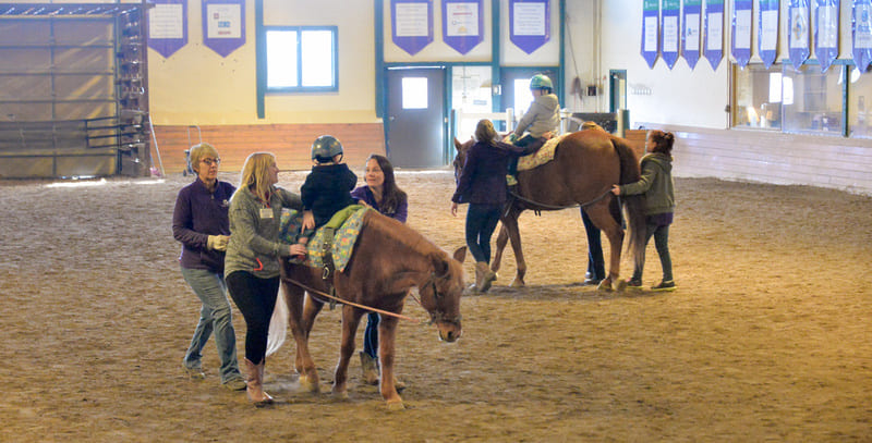 Hippotherapy as incorporated into physical and occupational therapies