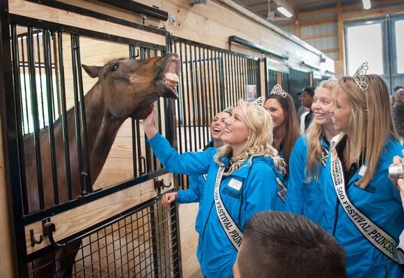 500 Festival Princesses meet therapy horse Rocky at the #Horsepower500