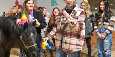 2023-01-20-Horse_Birthday_Party_05634