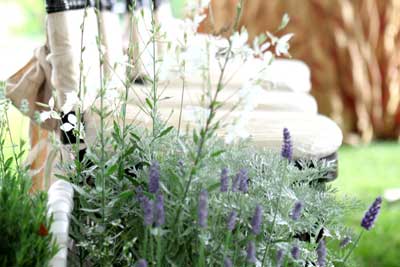 Flower beds make our garden the perfect lakefront venue for your wedding ceremony in Indianapolis