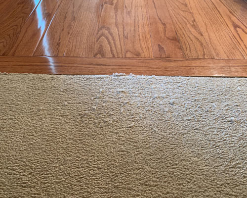 Common Carpet Issues How To Repair, How To Transition From Hardwood Floor Carpet Wall
