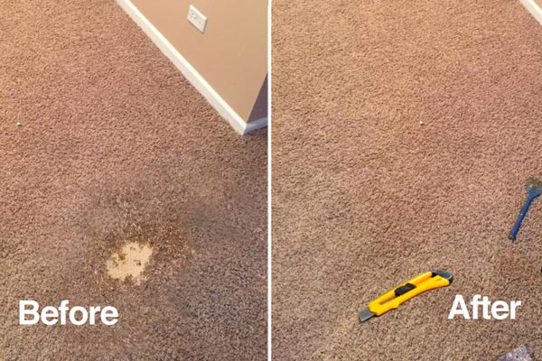 Indianapolis Carpet Repairs and Patching Near Me | All-Round Cleaning