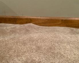 What causes carpet to buckle or ripple All Round Cleaning