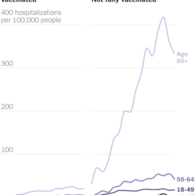 nyt-covid-19-hospitalizations-minnesota
