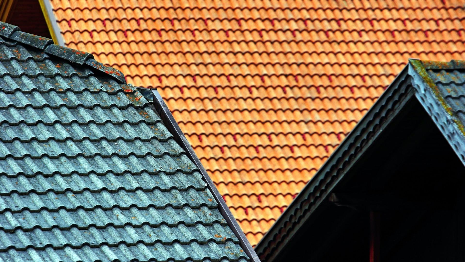 boris-misevic-qrspZwxMU7A-unsplash