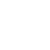 PinIcon