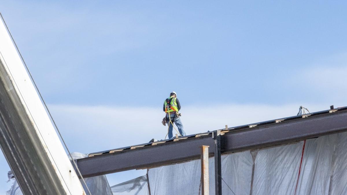 joshua-sukoff-TmNNde-SdZE-unsplash