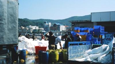 muki-pan-gigyvnERTF8-unsplash