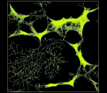 slime mold - cleaning service