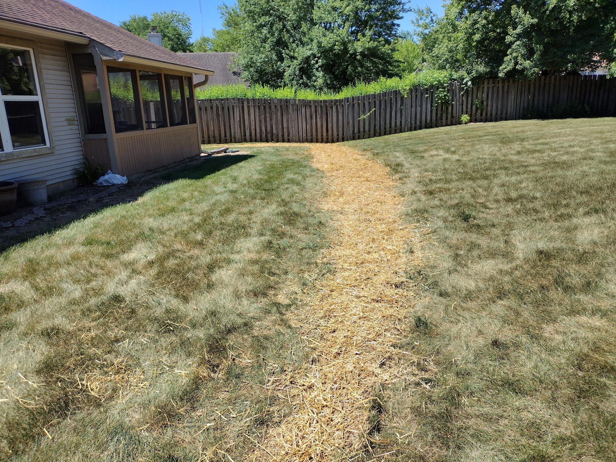 Indianapolis French Drain Installation Services
