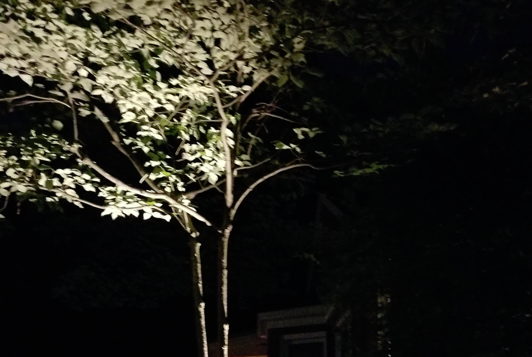 Outdoor Landscape Lights (Indianapolis Washington Township)