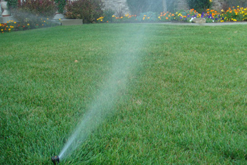 Sprinkler System