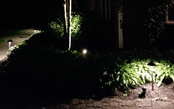 Outdoor Landscape and Sidewalk Lighting (Indianapolis Washington Township)