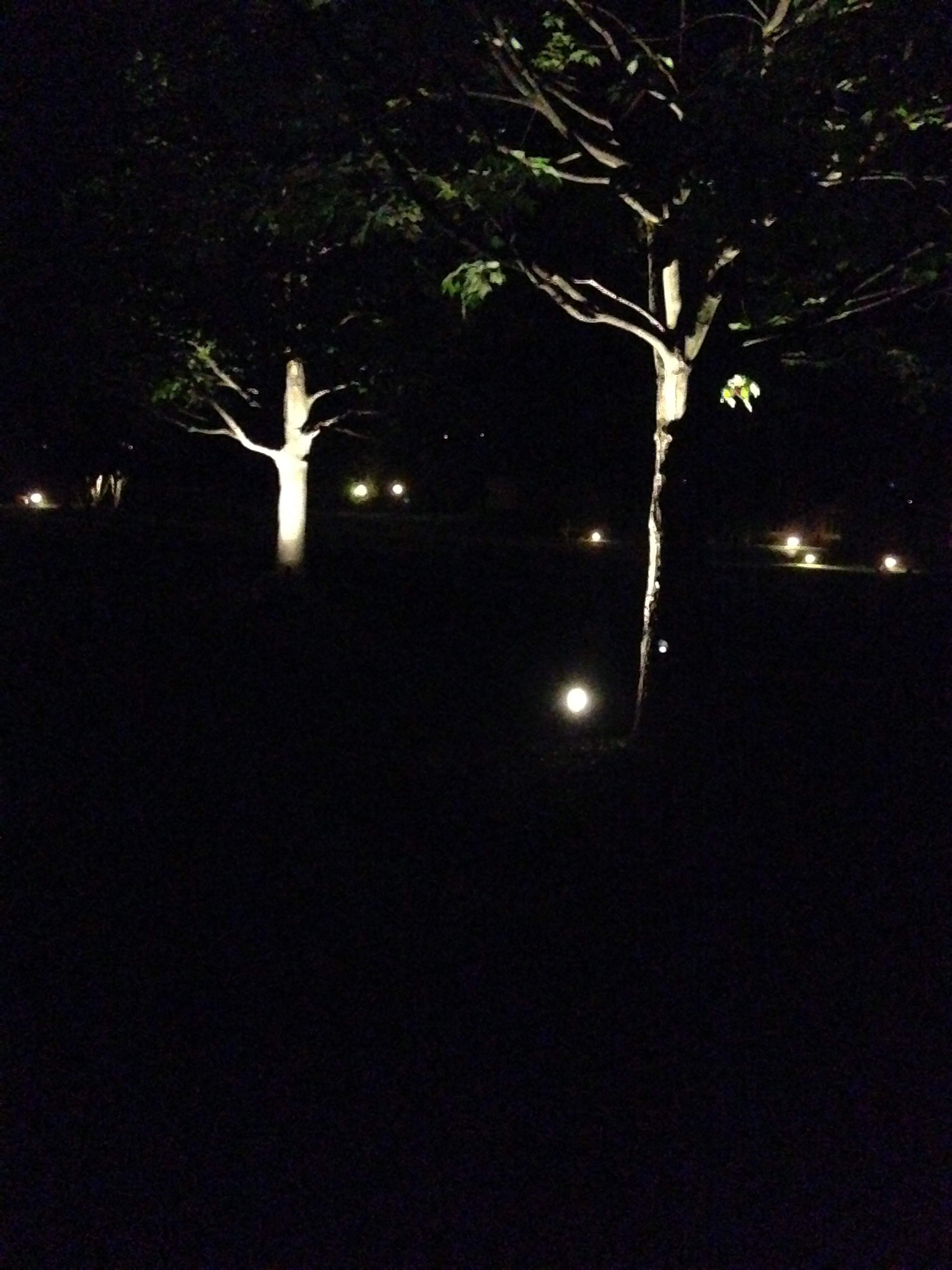 Carmel Outdoor Lighting